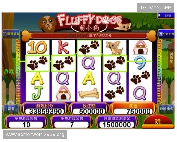 新手玩角子机的入门指南详细介绍游戏玩法流程