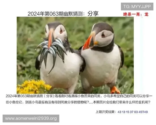 澳门彩在线地址的登录方式和操作流程详细解读