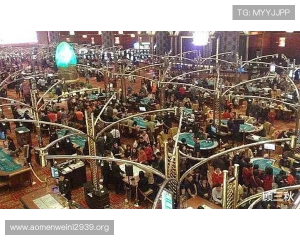 澳门赌场中不同年龄段赌客对游戏类型的偏爱与参与度比较